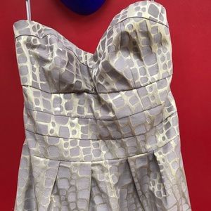 NWT American Eagle Metallic Strapless Dress